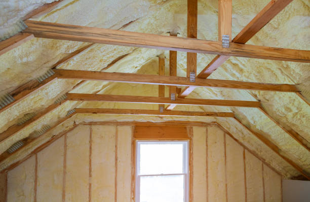 Best Insulation Contractor Near Me  in West Orange, TX