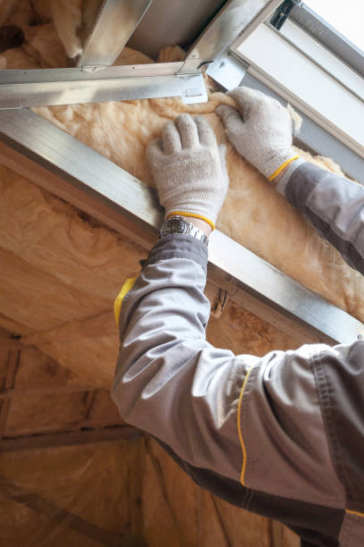 Best Wall Insulation Contractor  in West Orange, TX