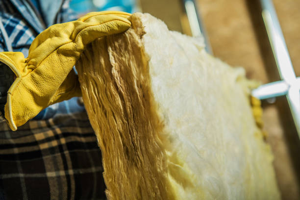 Best Crawl Space Insulation  in West Orange, TX